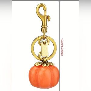 4/$100 Key chain or bag charm